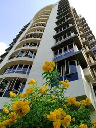 Bullion Park (D26), Condominium #456795291